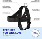 Dog Harness & Bungee Leash Set