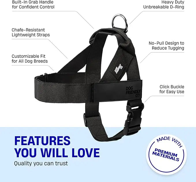 Dog Harness & Bungee Leash Set