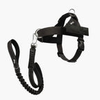Dog Harness & Bungee Leash Set