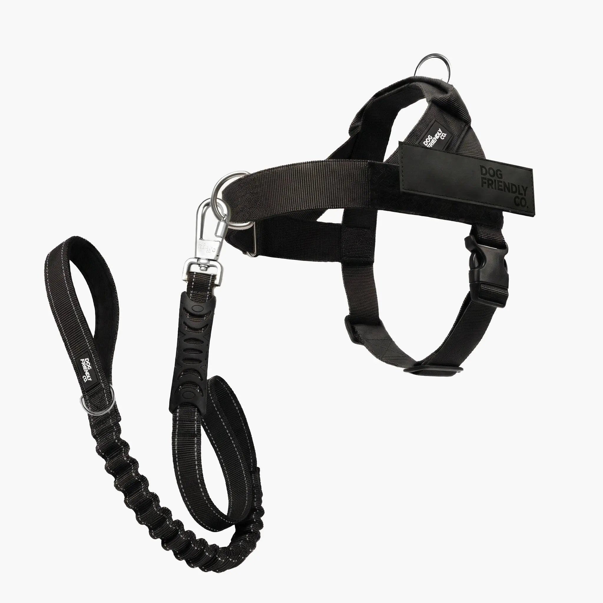 Dog Harness & Bungee Leash Set