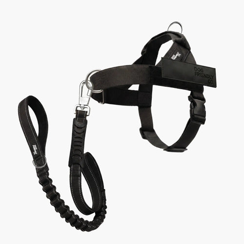 Dog Harness & Bungee Leash Set