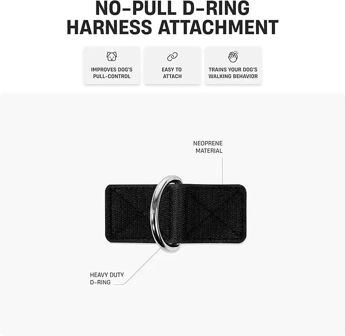 Dog Harness & Bungee Leash Set