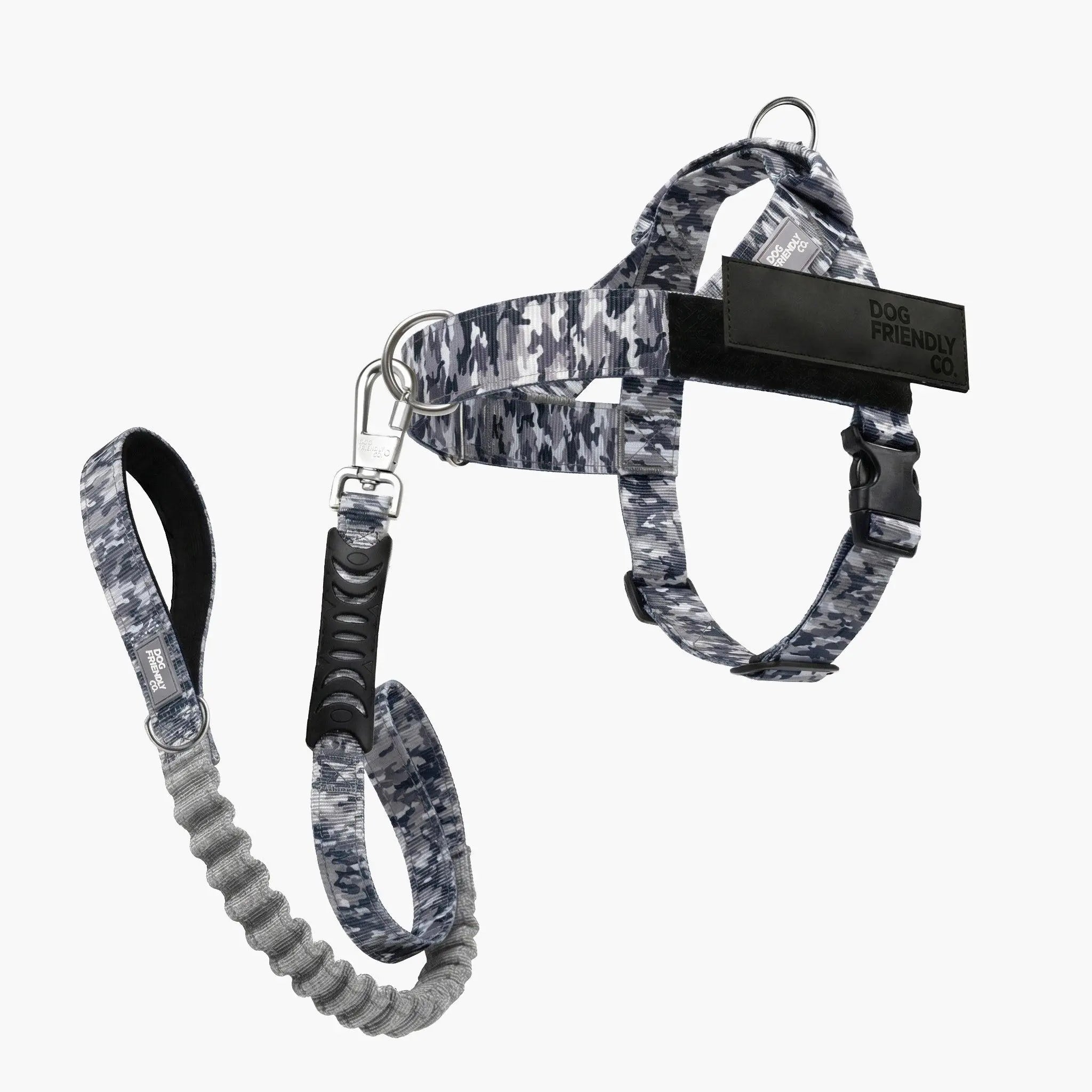 Dog Harness & Bungee Leash Set