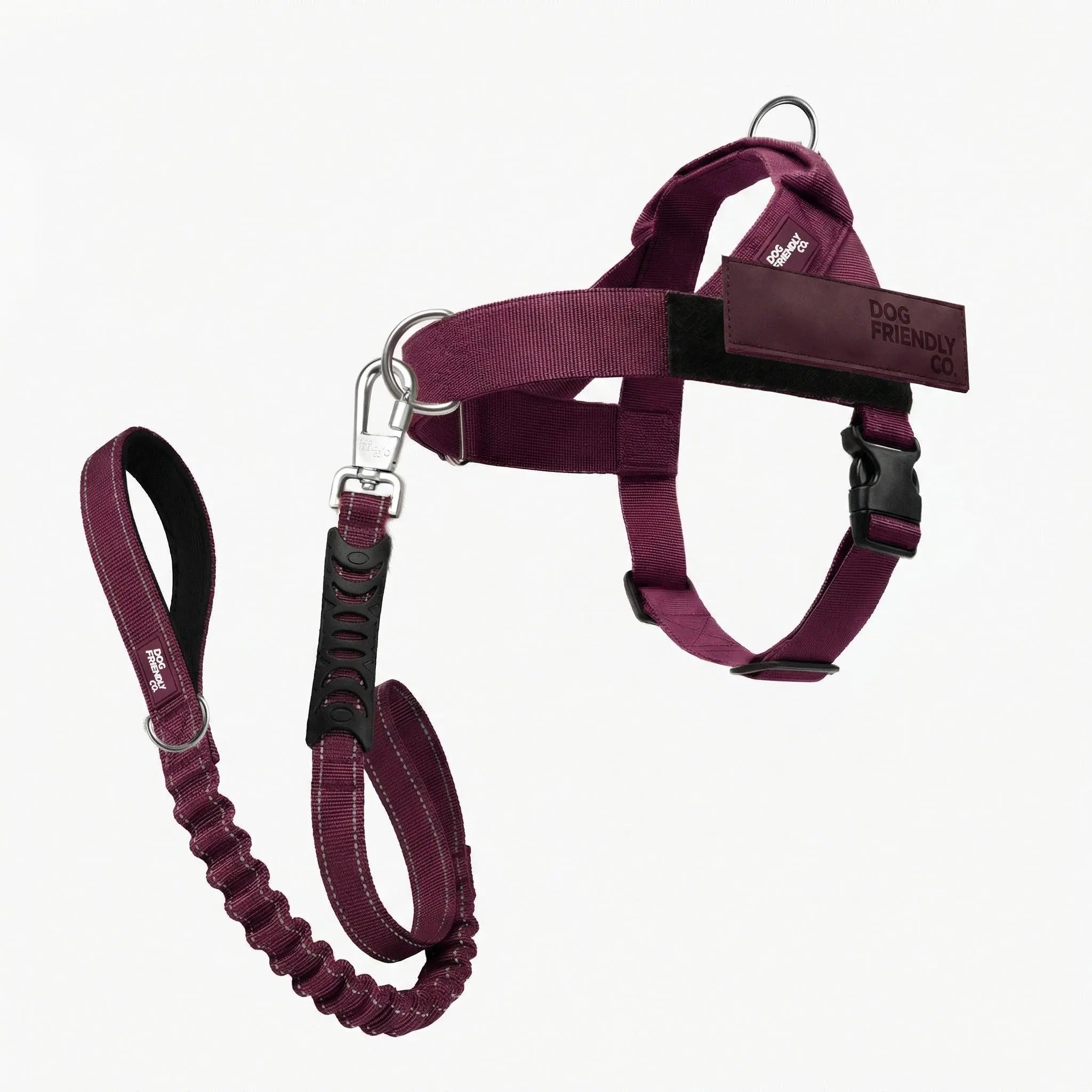 Dog Harness & Bungee Leash Set