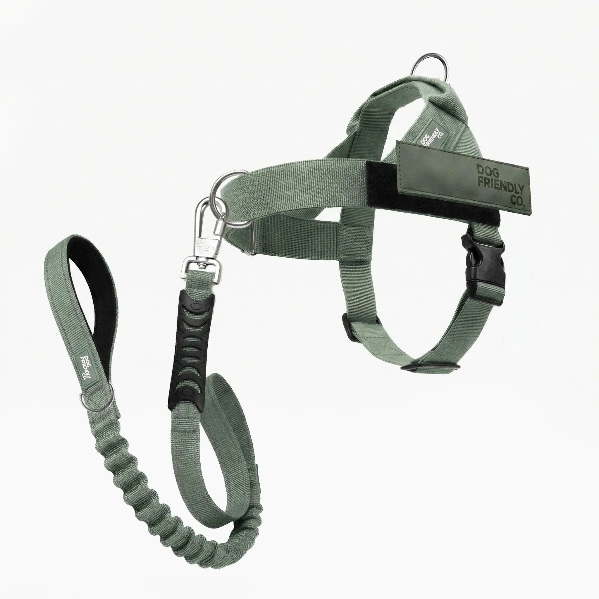 Dog Harness & Bungee Leash Set