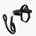 Dog Harness & Bungee Leash Set