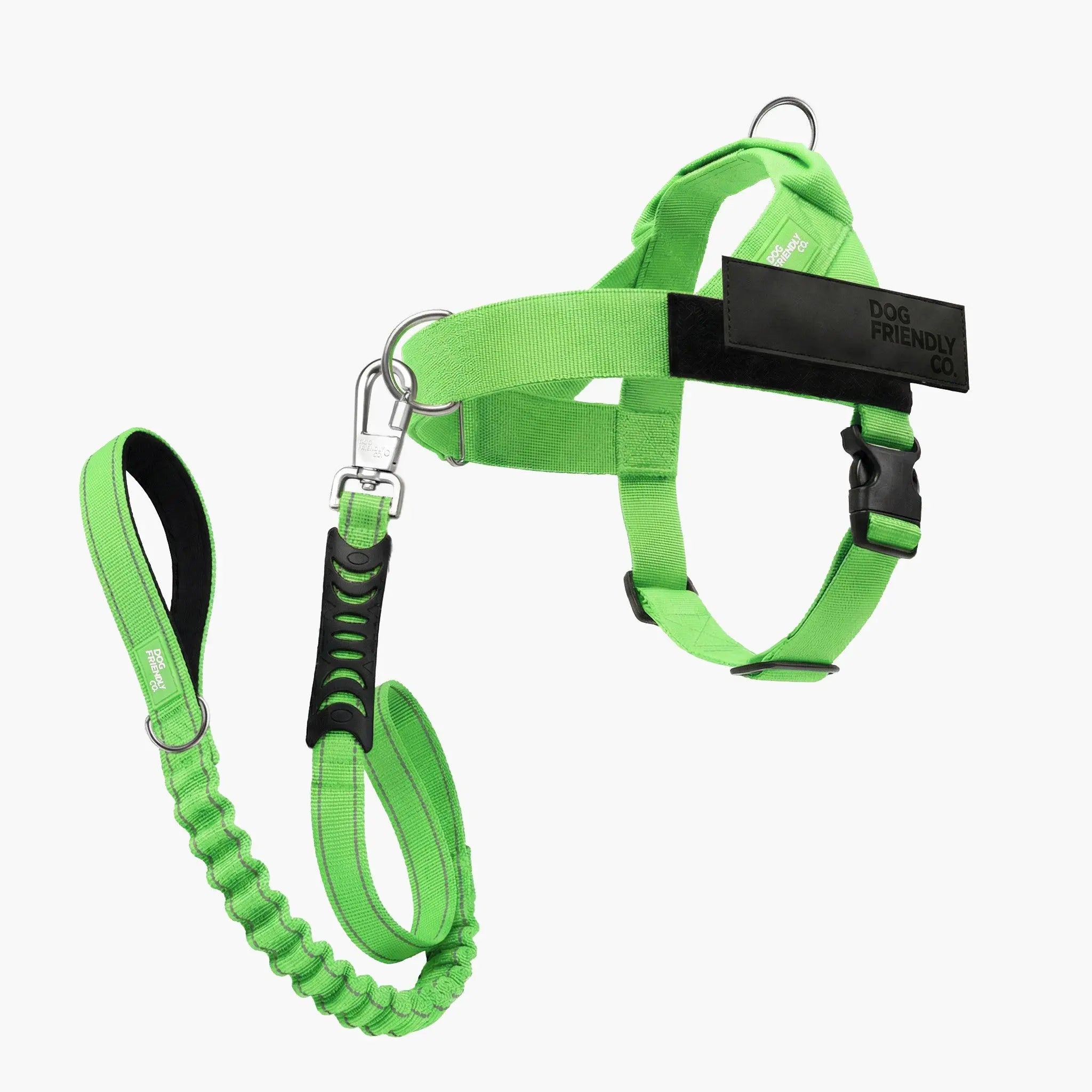 Dog Harness & Bungee Leash Set