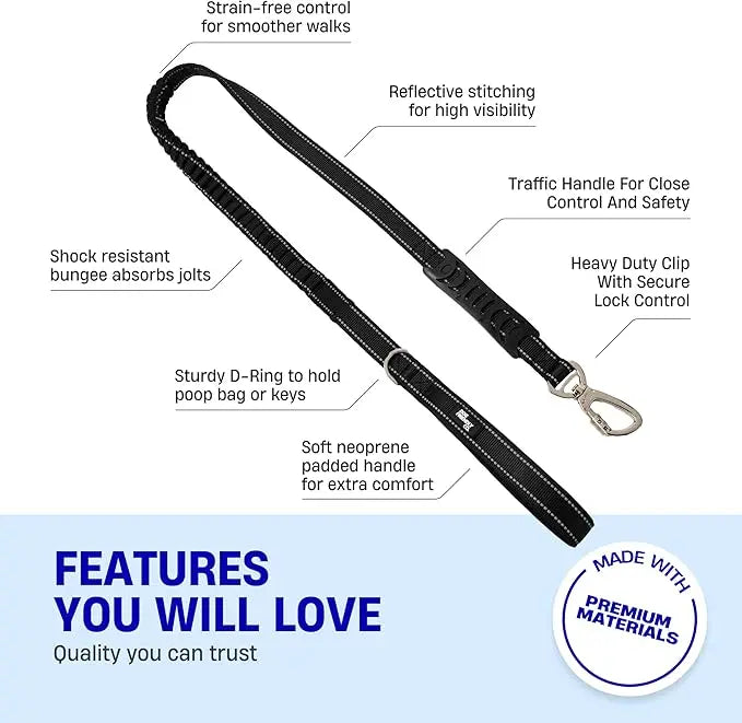 Dog Harness & Bungee Leash Set